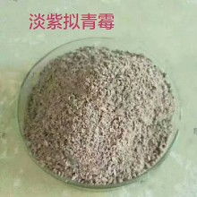 微生物肥料價格走勢與市場動態(tài) 聚焦農(nóng)化網(wǎng)第三頁批發(fā)報價及甲殼素農(nóng)業(yè)肥料研發(fā)銷售新趨勢