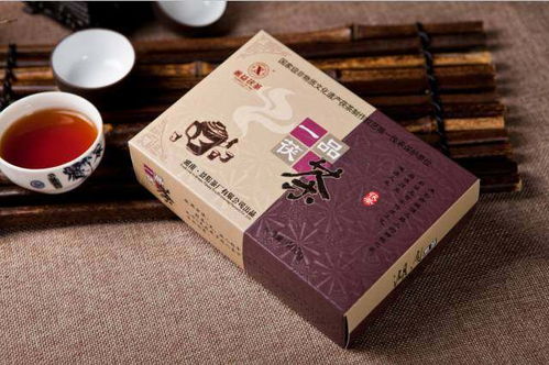 劉杏益 以甲殼素農業肥料研發，踐行制茶大師的行業使命